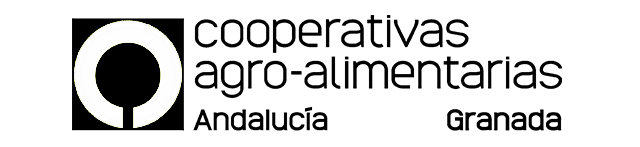 AndalucíaGranadaNegroTransparenteMini